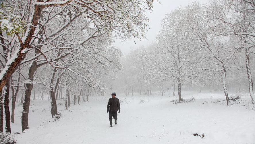 河北丰宁坝上四月飞雪.jpg